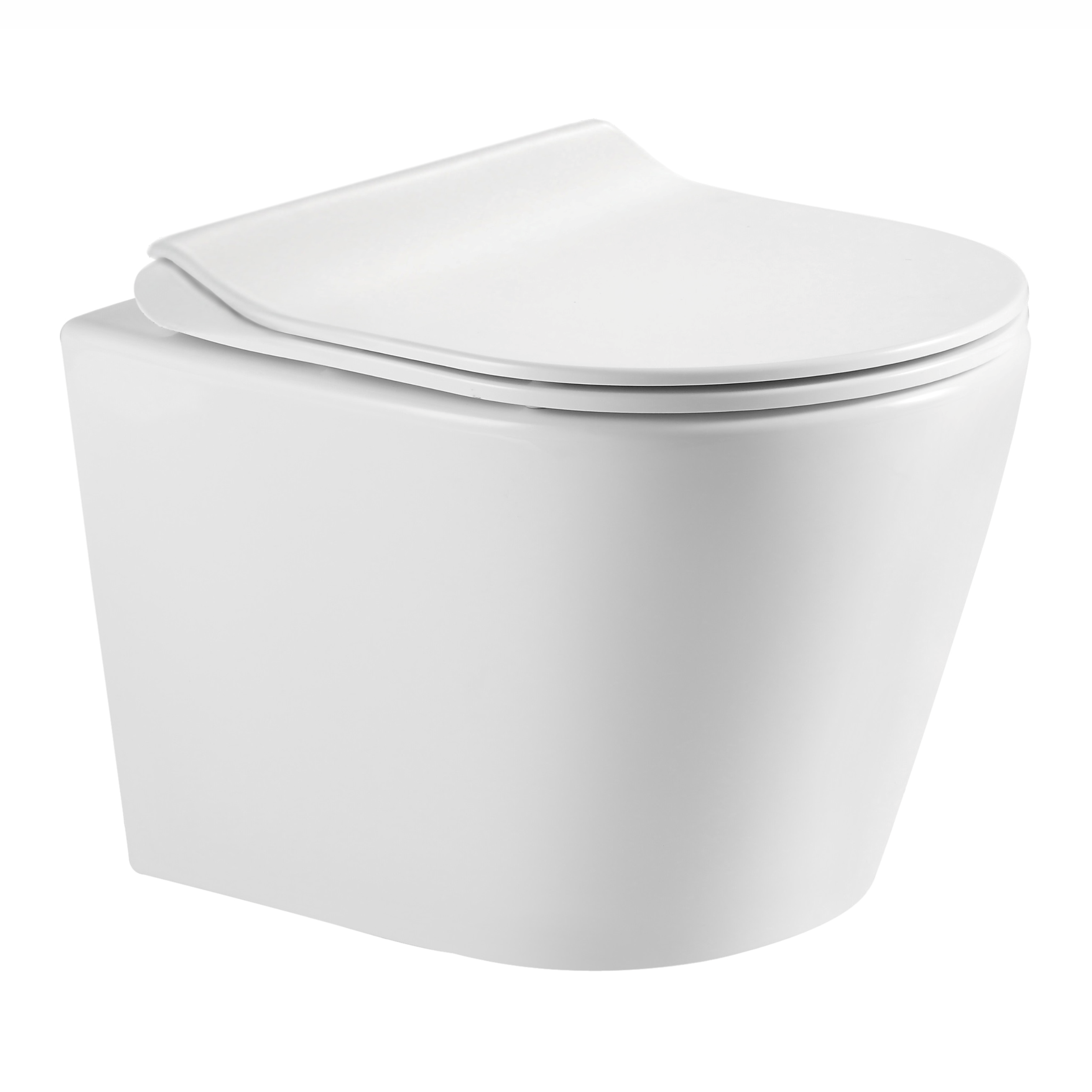 DOBRY wall hung toilet c06822200(48.5*36*36.5 cm, twist, duroplast seat)