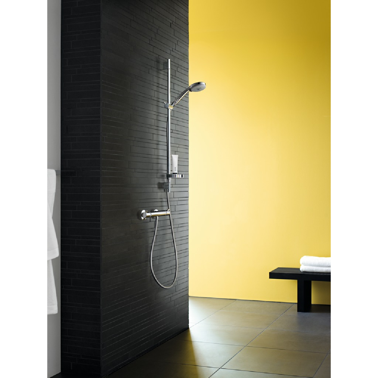 Croma 100 Vario (4) - лійка HANSGROHE 28535000